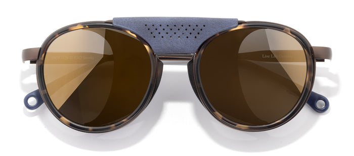 color Tortoise Flash Gold