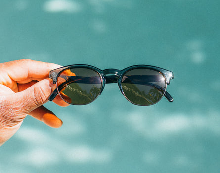 avila pine tortoise amber in front of water