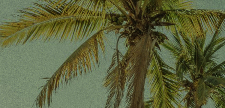 sunski premium sunglasses mobile banner