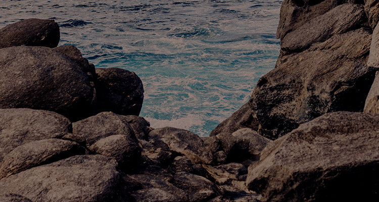 rocks and the ocean