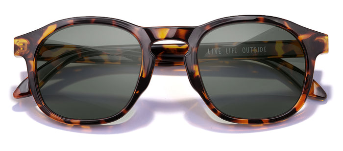 color Tortoise Forest