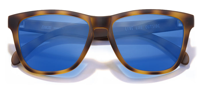 color Tortoise Blue