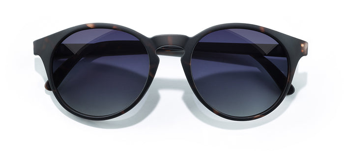 color Tortoise Ocean