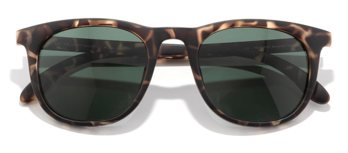 color Tortoise Forest