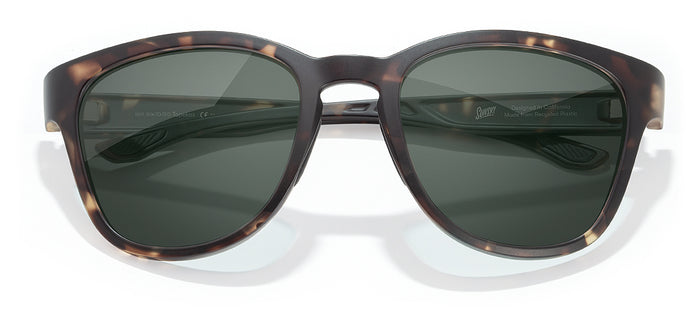 color Tortoise Forest