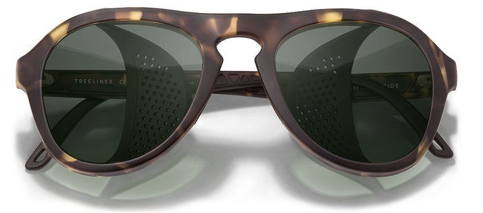 color Tortoise Forest