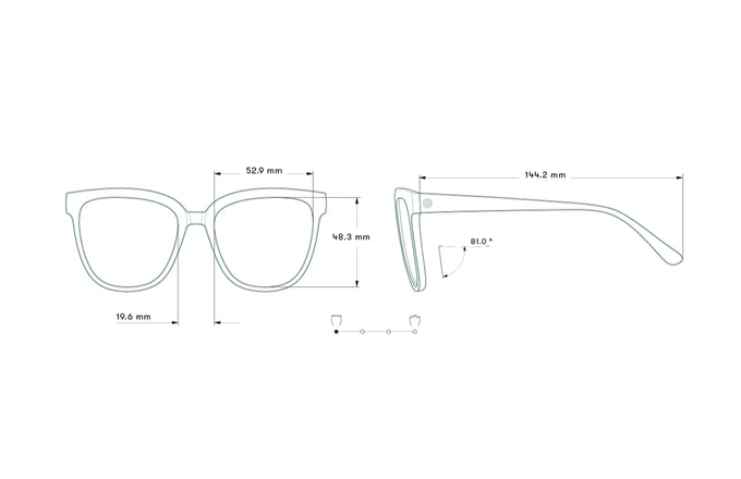 sunski camina tortoise amber measurement sketch