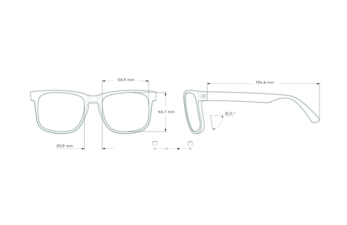 sunski kiva tortoise forest measurement sketch