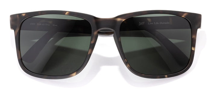 color Tortoise Forest