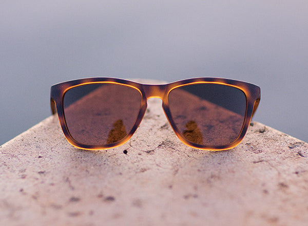 sunski madrona on a ledge