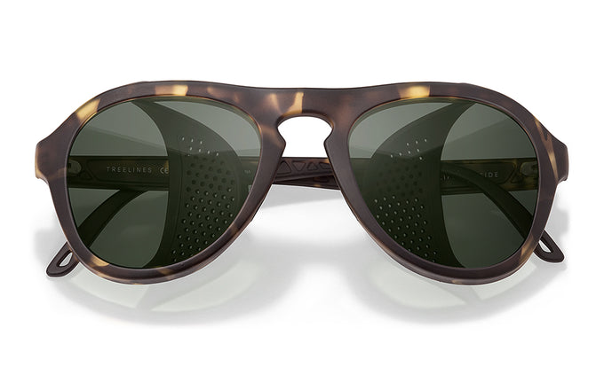 sunski treeline tortoise forest front angle