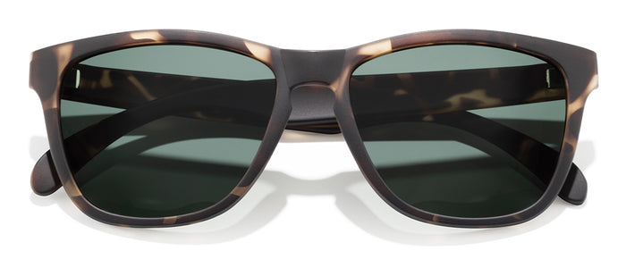 color Tortoise Forest