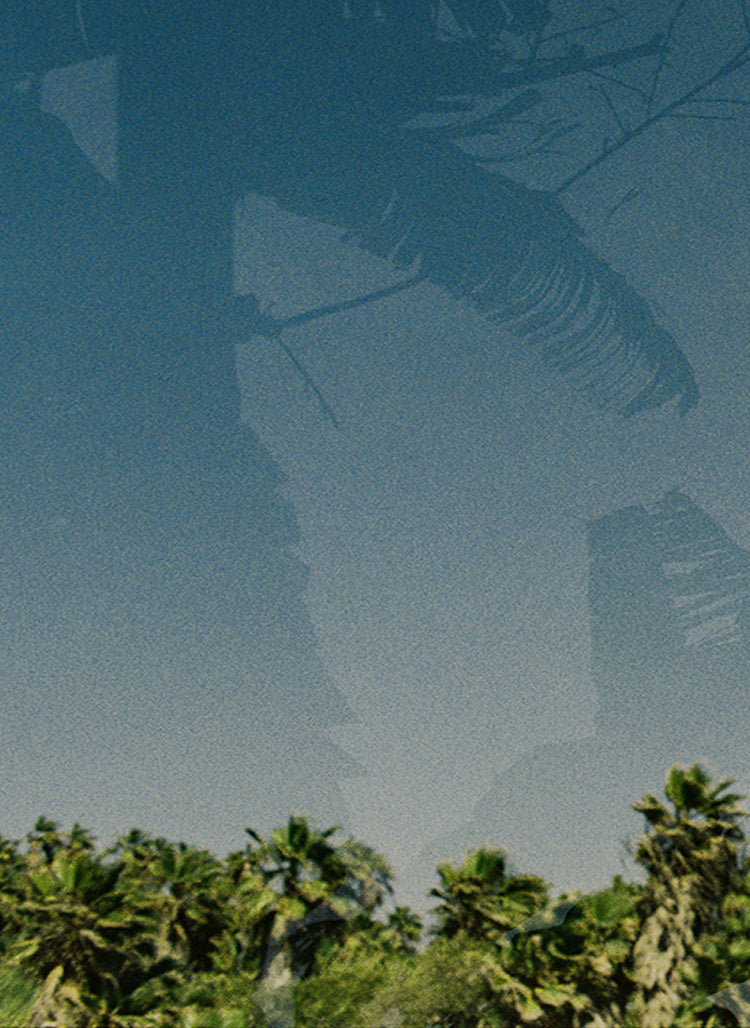 nature background
