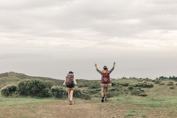 Return to Nature: Is it Time for a Digital Detox?