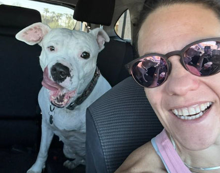 Woman and white dog in a car