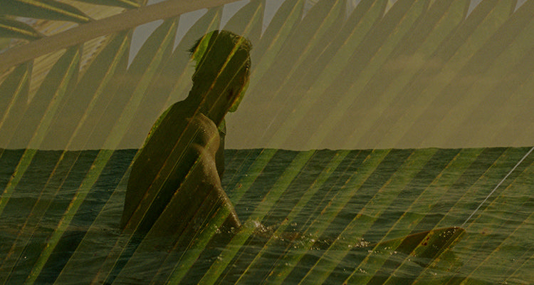 guy surfing and palm leaf