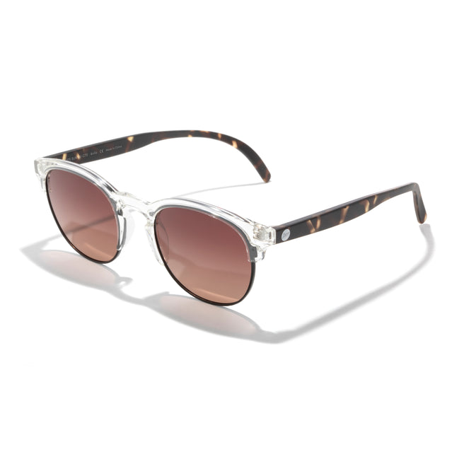 clear and tortoise sunglasses with terra lens