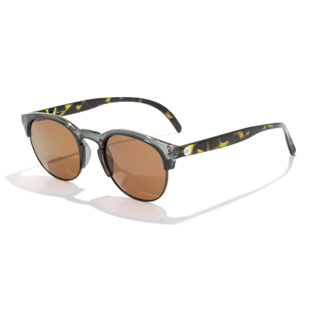 tortoise sunglasses on a white background