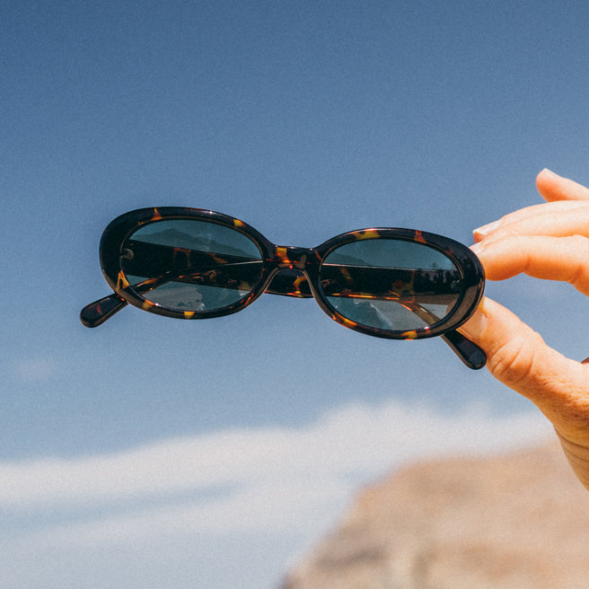 tortoise sunglasses on blue background