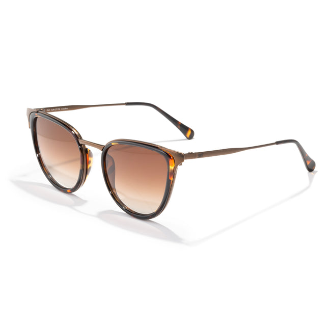 Sunglasses with tortoiseshell frame and brown gradient lenses on a white background