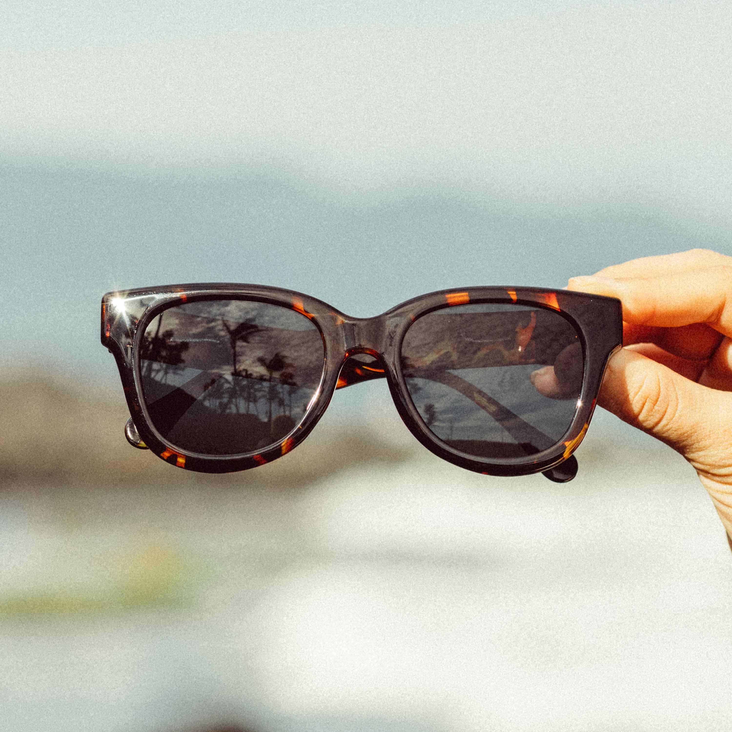 Minette – Sunski