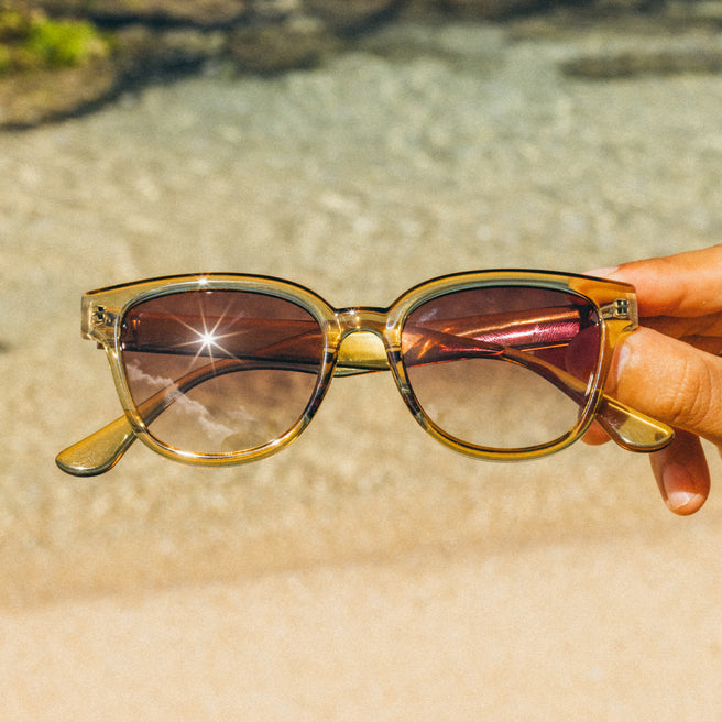 Sunglasses with brown lenses held by a hand against a blurred natural background