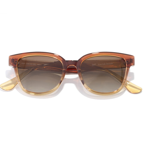 Sunglasses with a brown and gold frame on a white background