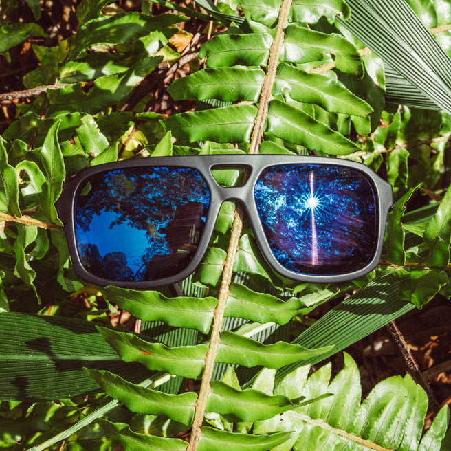 Sunglasses with blue reflective lenses on a green leaf background