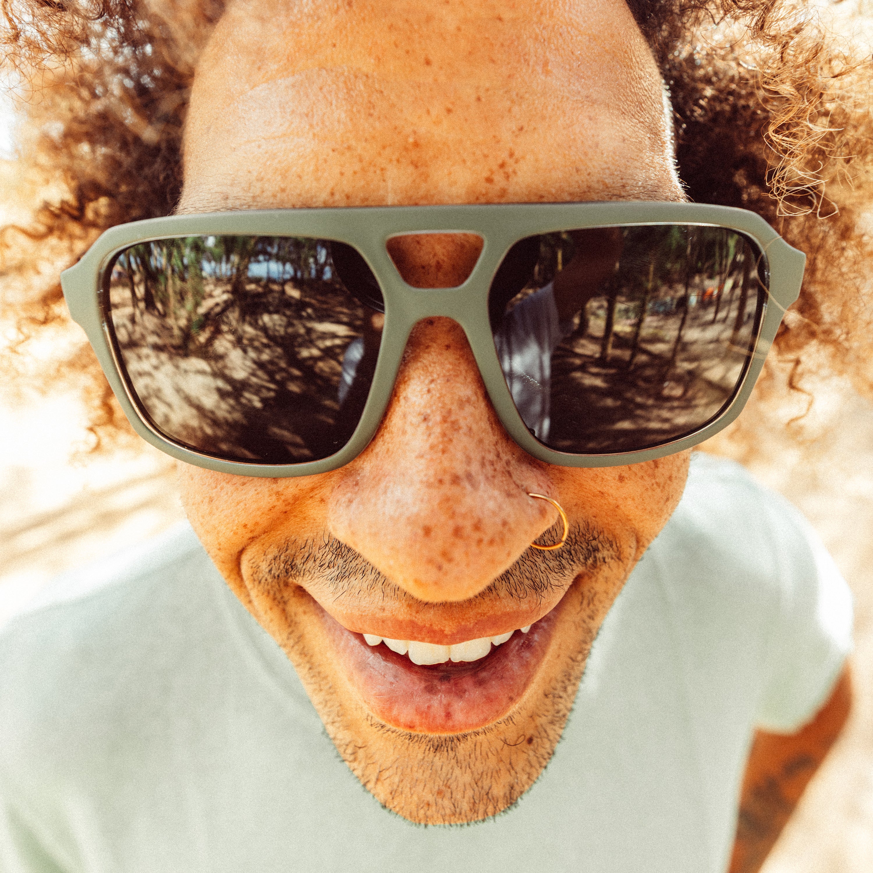 Paladino – Sunski
