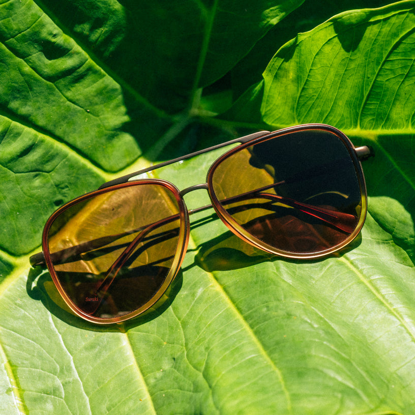 aviator sunglasses on a plant