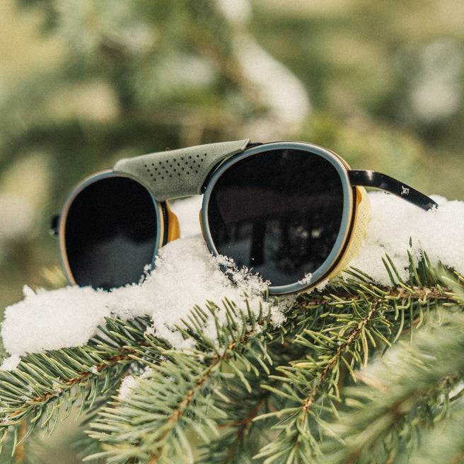 Sunglasses on a snow-covered branch with a blurred natural background