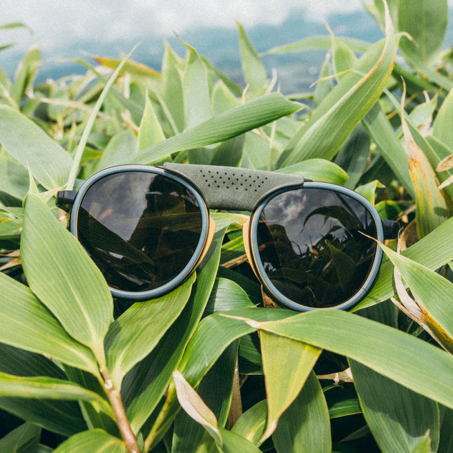 Sunglasses on a bed of green leaves with a mountainous background
