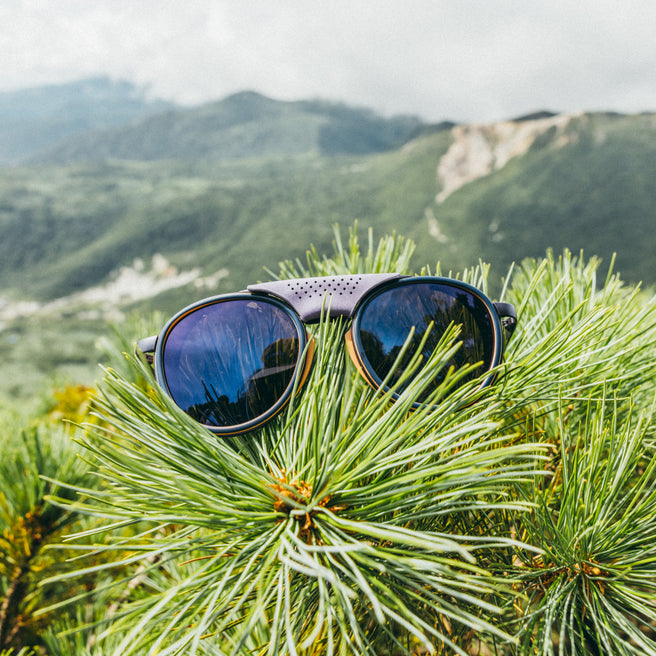 Strada - Violet Galaxy - Sunglasses on a branch with a mountainous landscape in the background