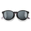 Tera Black Silver Cat 4