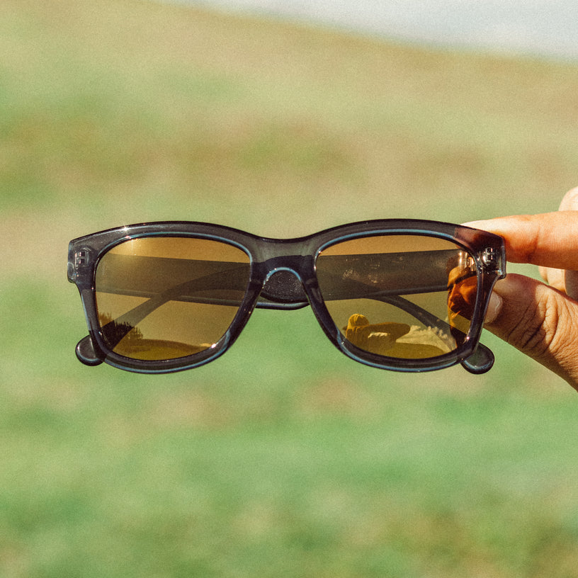 sunglasses with gold lenses in front of a grass background