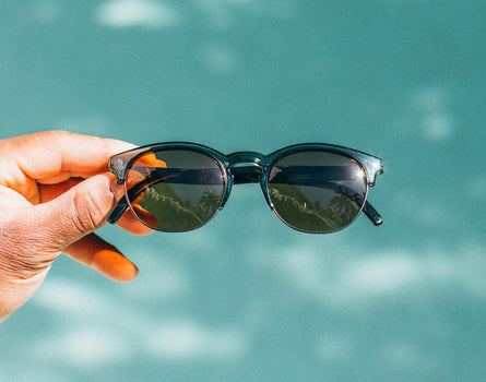 avila pine tortoise amber in front of water