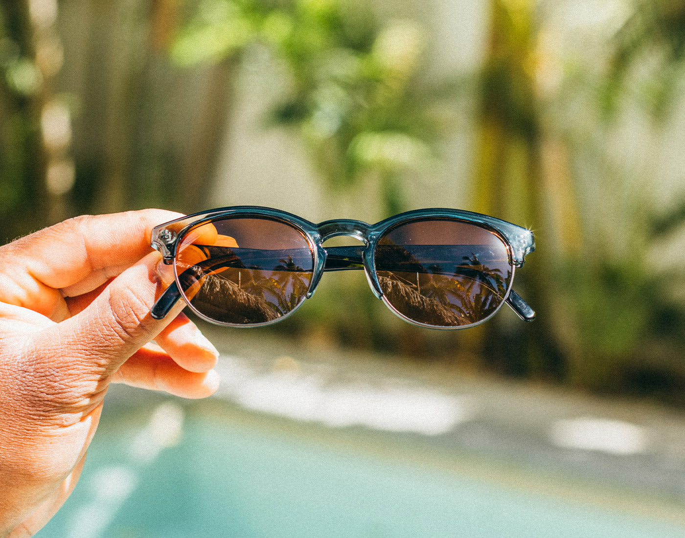 avila pine tortoise amber  at the pool