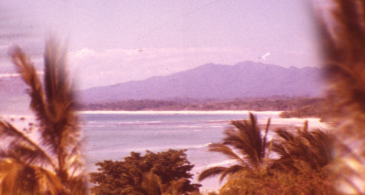 beach background