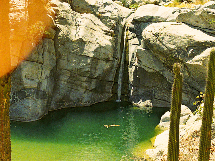 Person swimming in a green pool surrounded by large rocks and cacti