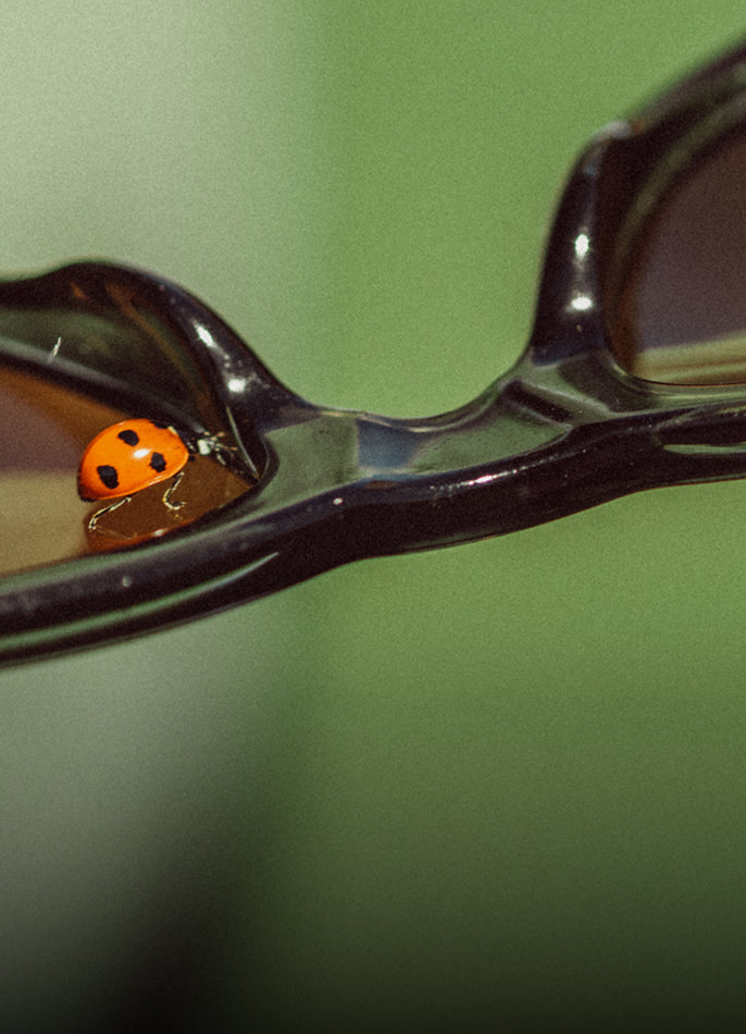 Small ladybug on a pair of sunglasses with a green background