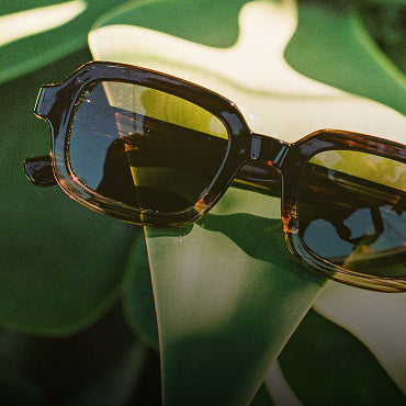 Cambria Lens Kit – Sunski