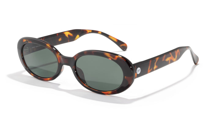 sunski bianca tortoise forest aerial angle