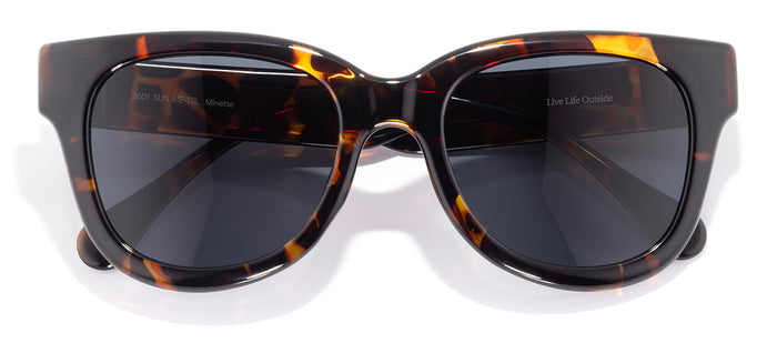 color Tortoise Slate