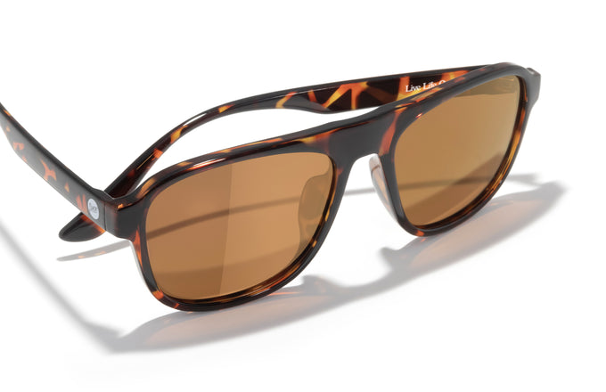 sunski shoreline tortoise bronze aerial view