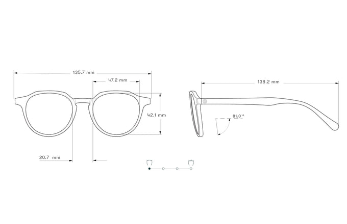 sunski vallarta tortoise amber dimensions