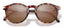 Dipsea Lens Kit Tortoise Amber