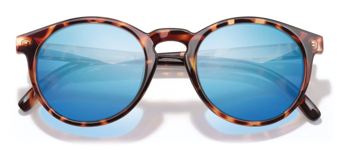 Dipsea Lens Kit - Tortoise Aqua - color Tortoise Aqua