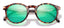 Dipsea Lens Kit Tortoise Emerald