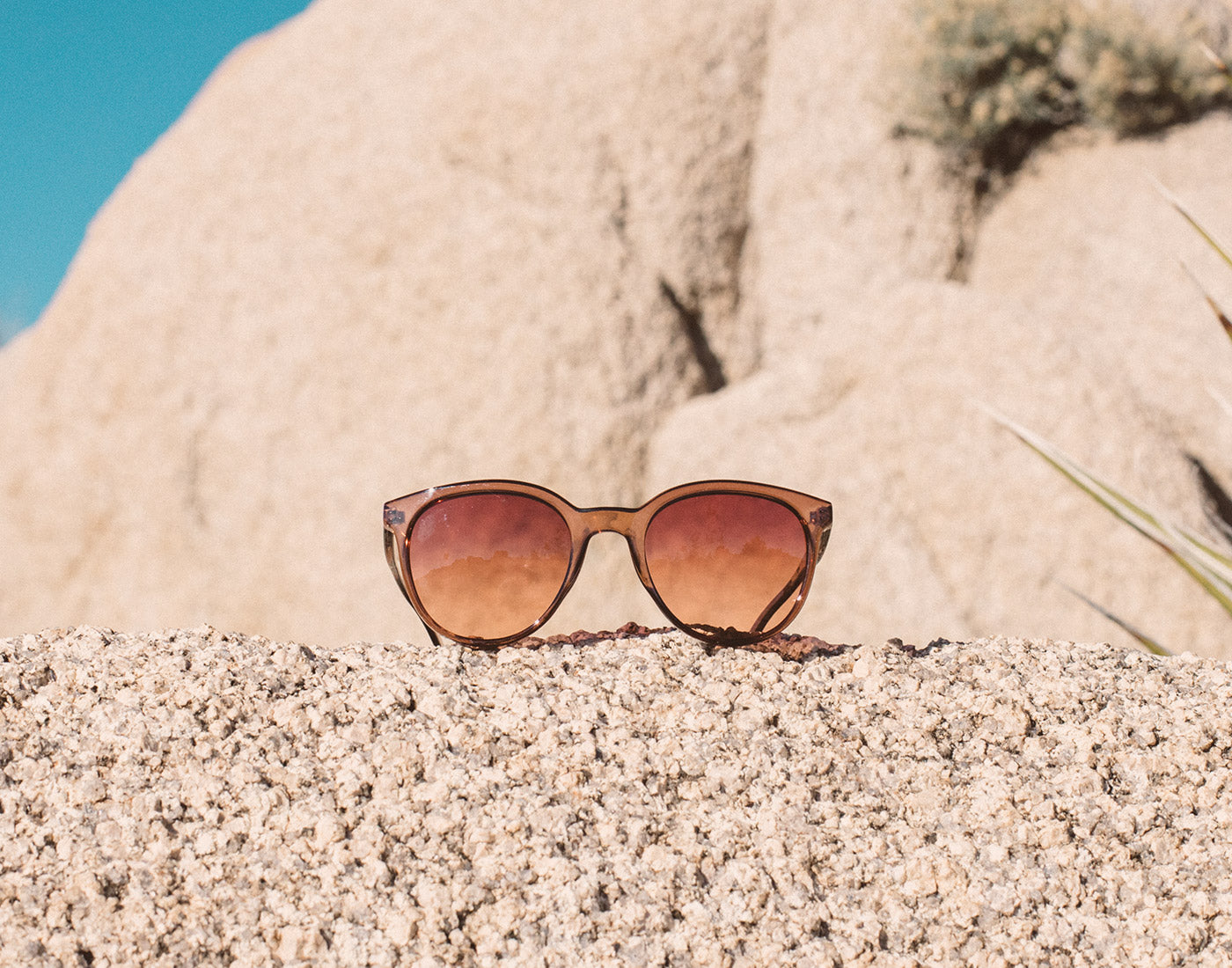 sunski makani sunglasses sitting on a rock